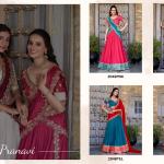 Zari Weaving Work choli