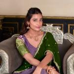 Kanchipuram Printed Lehenga choli