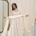 Georgette With Embroidery Work dress