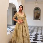 Off White Color Sequins and Thread Embroidery Work Gold Crush Lehenga Choli